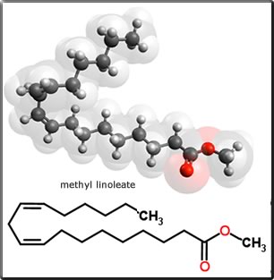 methyl linoleate